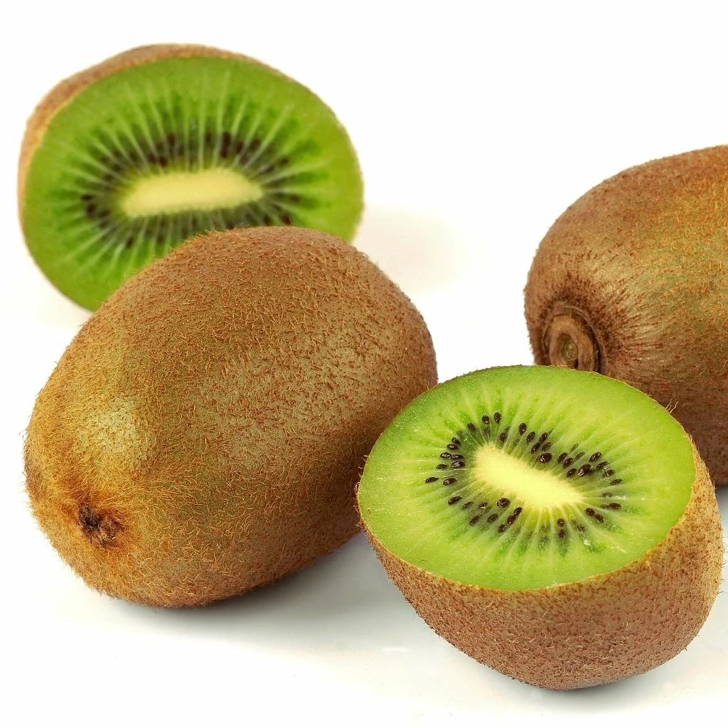 Kiwi Mâle - Actinidia Deliciosa Belen 3 Kiwi Mâle - Actinidia Deliciosa Belen