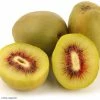 Kiwi - Actinidia Deliciosa Kiwi Wonder -Promesse de Fleurs Magasin Actinidia deliciosa Wonder 84702 1