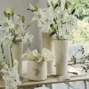 Collection Bulbes Pour Bouquets Modernes Blancs