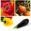 Collection "Ratatouille" De 5 Plants Potagers GREFFES -Promesse de Fleurs Magasin Collection de 5 plants potagers greff s 4248 1