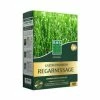 Gazon Premium Regarnissage - Semences Enrobées - BHS -Promesse de Fleurs Magasin Gazon premium regarnissage Semences enrobees IF 17053 1