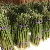 Asperge Verte Rambo - Asparagus Officinalis 1 Asperge Verte Rambo - Asparagus Officinalis -Promesse de Fleurs Magasin asparagus officinalis rambo 16300 1