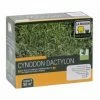Gazon Cynodon Dactylon - Chiendent Pour Pelouse Tropicale -Promesse de Fleurs Magasin cynodon 500g 3284721010051 16073 1